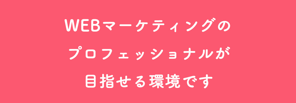 webマーケティングのプロフェッショナルが目指せる環境です